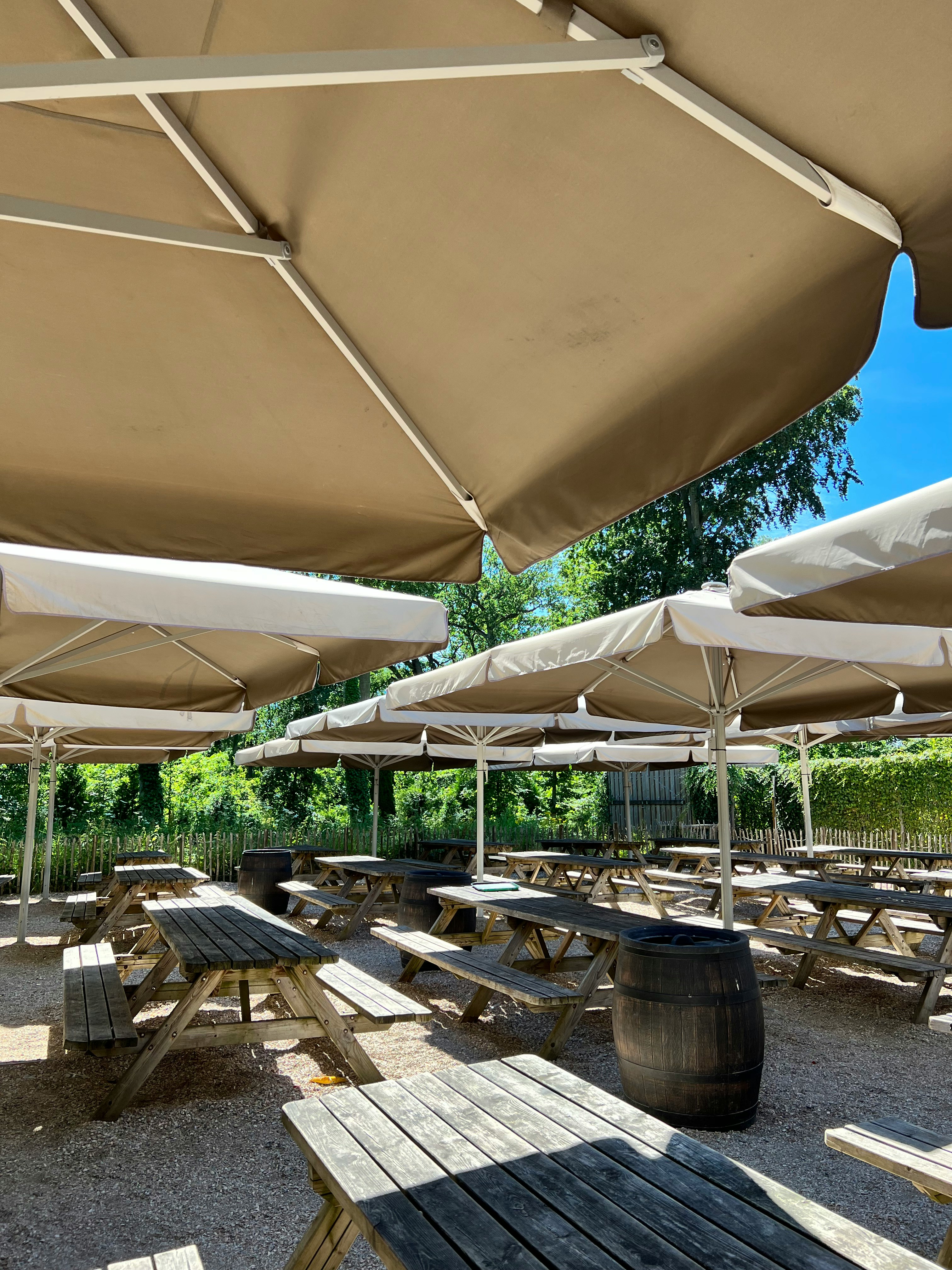 Restaurant interior